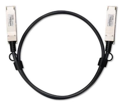 Bilde av Zyxel Direkte 100GBase-koblingskabel - 1 m