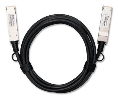 Bilde av Zyxel Direkte 100GBase-koblingskabel - 3 m