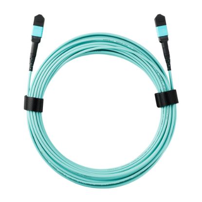 Bilde av Zyxel MPO12 850nm MultiMode SR cable for QSFP100G-SR4